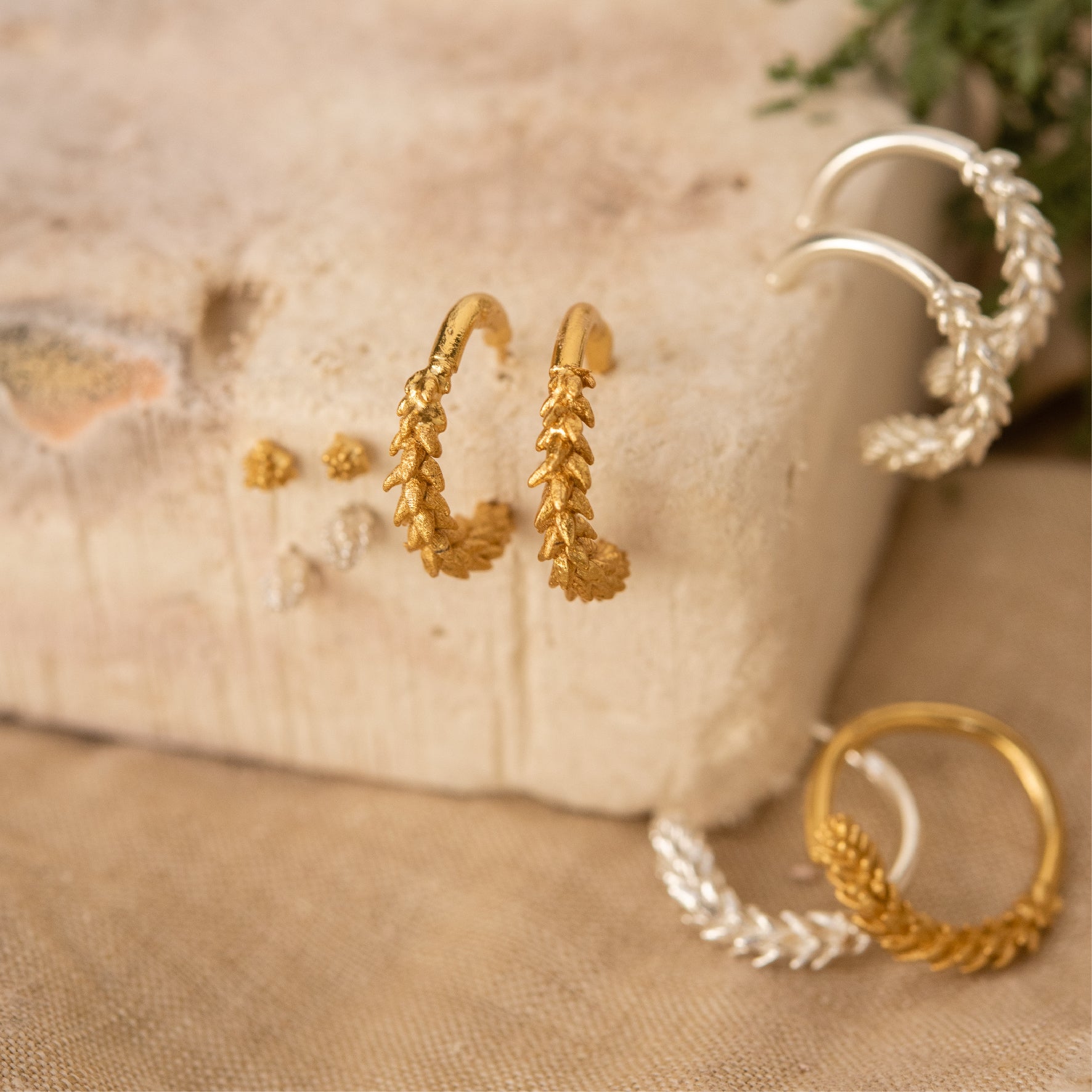 ANILLO SUCULENTAS PUNTICAS