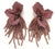 ROSEDAL EARRINGS